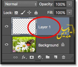 آموزش کار با  پنل لایه ها در فتوشاپ
