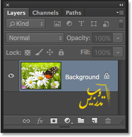 آموزش کار با  پنل لایه ها در فتوشاپ
