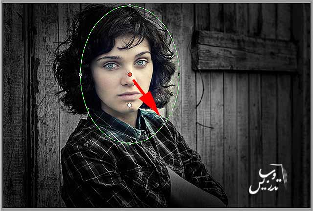 فیلتر های Camera raw در فتوشاپ