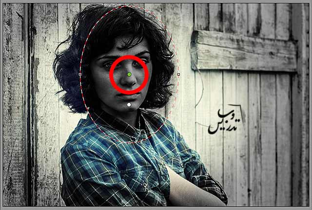 فیلتر های Camera raw در فتوشاپ فیلتر های Camera raw در فتوشاپ