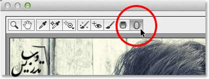 فیلتر های Camera raw در فتوشاپ فیلتر های Camera raw در فتوشاپ
