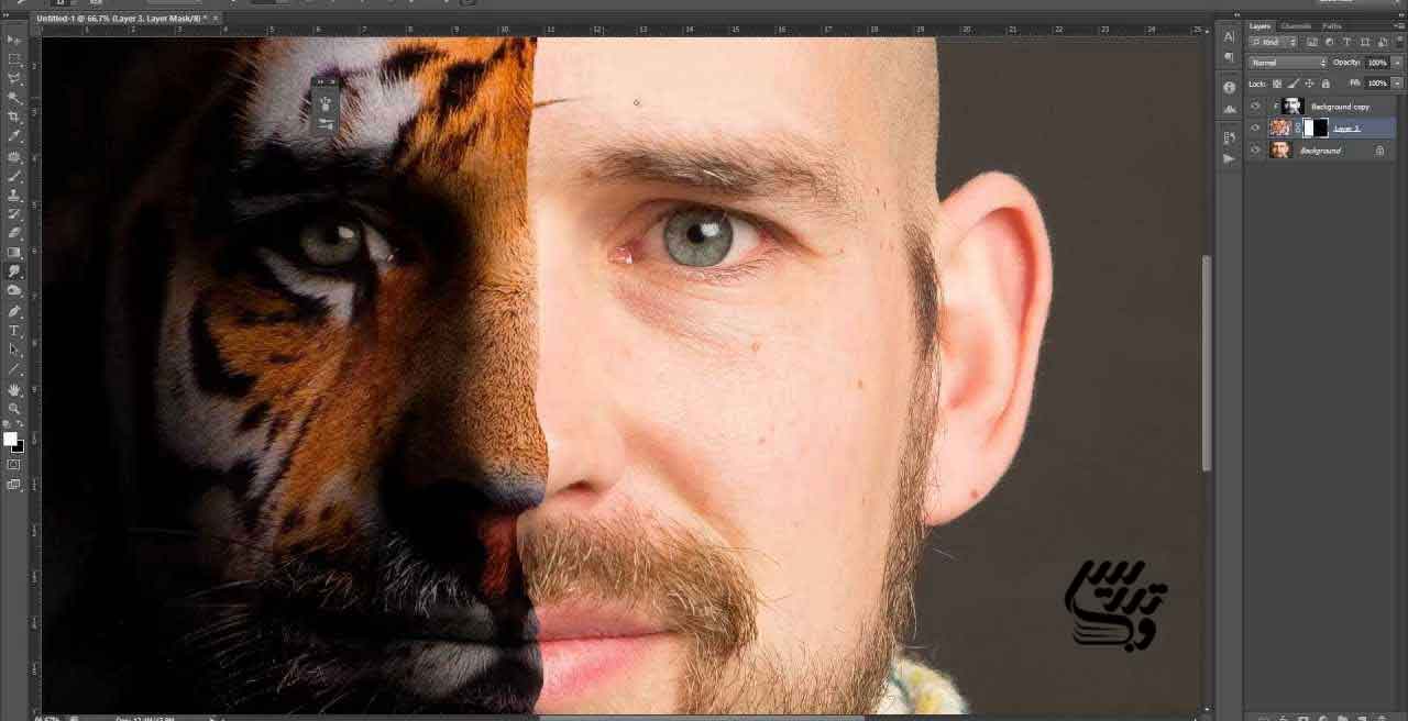 adobe photoshop adobe photoshop
