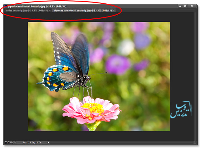 کار با تب ها و پنجره ها در فتوشاپ