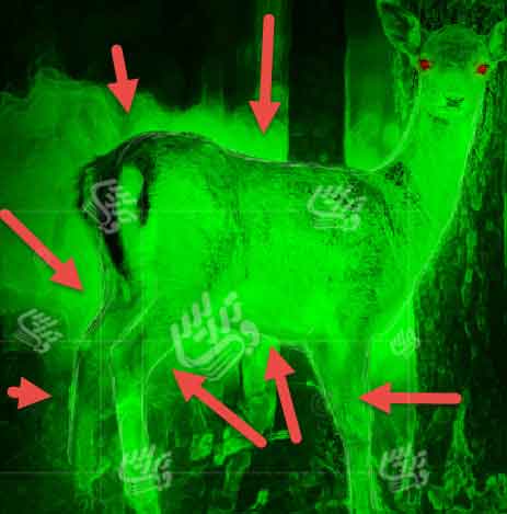 آموزش فتوشاپ حرفه ای تصویر دوربین مادون قرمز واقعی آموزش فتوشاپ حرفه ای تصویر دوربین مادون قرمز واقعی